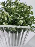Перегородка для душа RGW WA-08W  90*195 06100809-155 профиль Белый стекло Ribbed 8 мм RGW